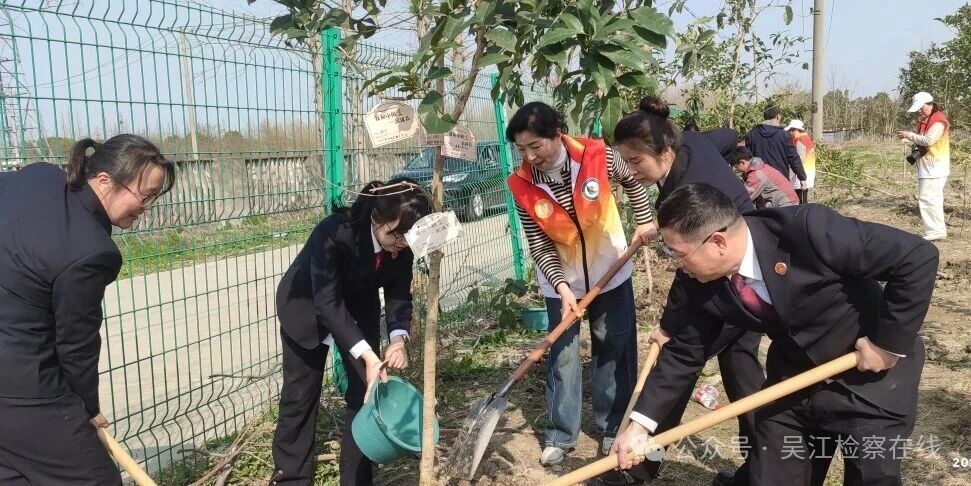 以“绿荫同建 花开未来”为主题的植树节系列活动.jpg
